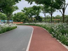 -上海长兴岛郊野公园