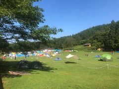 -武陵山森林公园