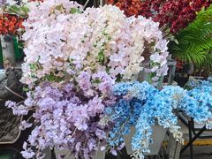 -循礼门鲜花花市(武汉循礼门店)