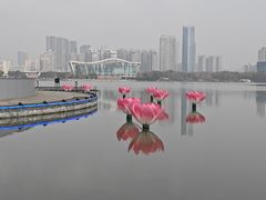 -月湖风景区