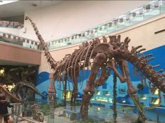 -陕西自然博物馆