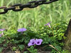 -长泰漂流水陆空景区