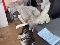 -青春加萌照相馆