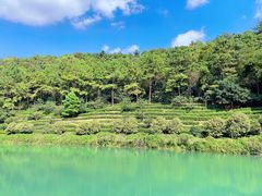 -九龙潭景区