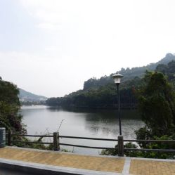 -爱帝宫月子中心(罗湖别墅院)