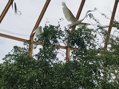 -临沂动植物园