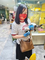 -神奇动物撸宠馆·羊驼·小浣熊·异宠(豫园店)