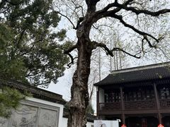 -上海醉白池公园