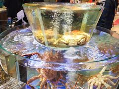 水产区-盒马鲜生(悠方店)