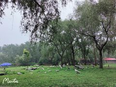 -秦皇岛野生动物园