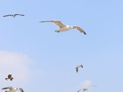 -星海广场