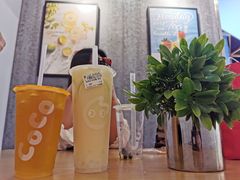 -CoCo都可(燕塘店)