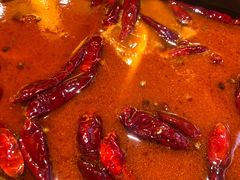 -小龙坎火锅(春熙太古里店)