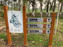 -东郊湿地公园