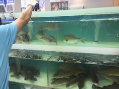 水产区-盒马鲜生(宝地店)