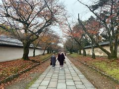 -醍醐寺