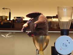 -More than cafe·置外咖啡