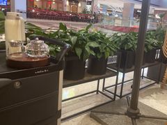 -顺风汤馆·广府粤菜(江宸天街店)