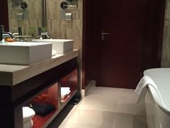 -常州环球恐龙城维景国际大酒店