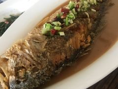 家烧深海大黄鱼-瓦库茶馆17号(海汇港店)