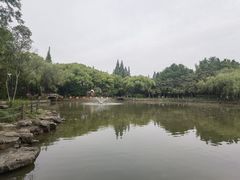-瀛洲公园