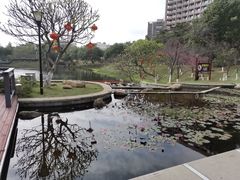 -广州汇华希尔顿逸林酒店
