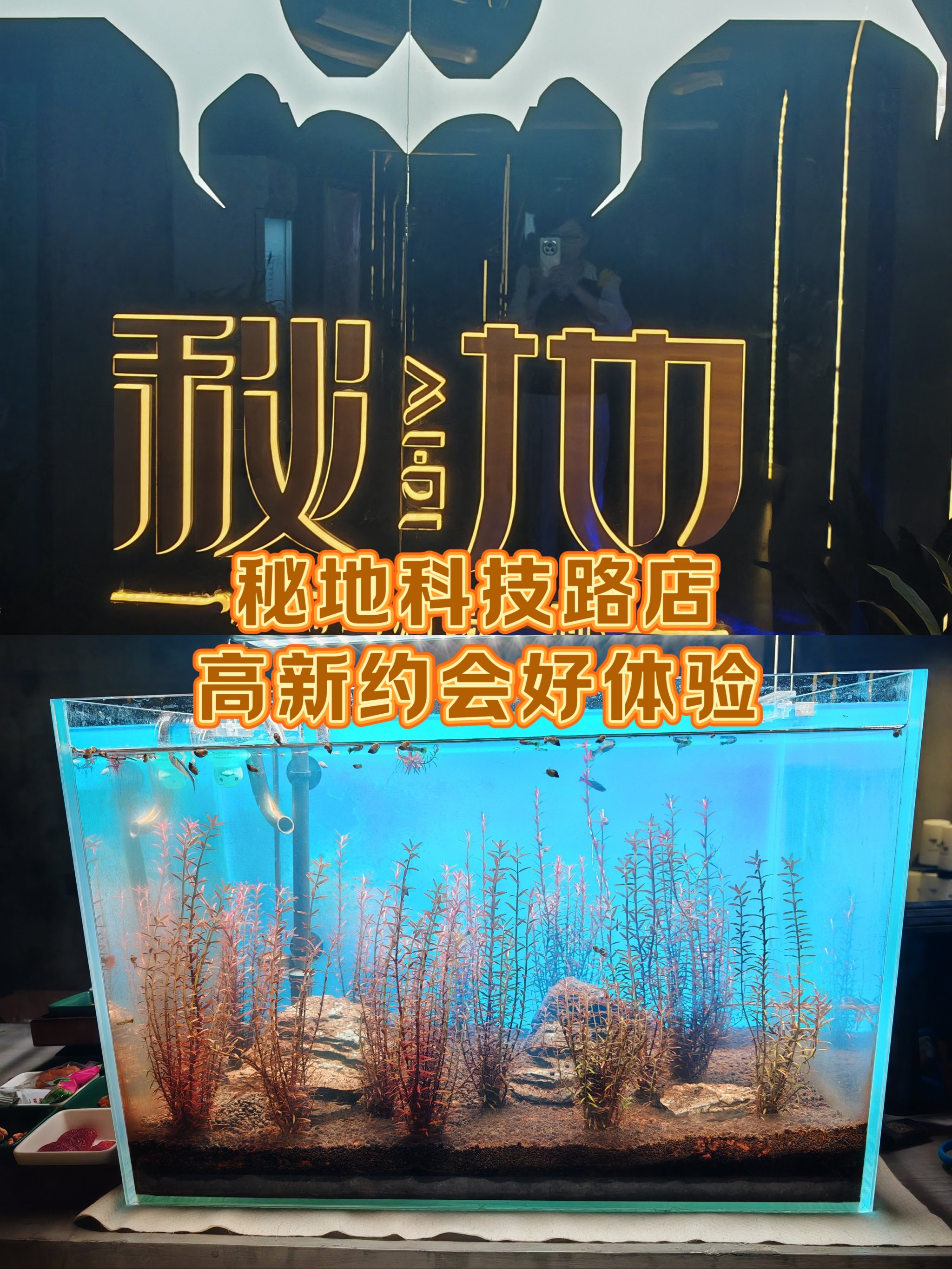适合女生一人开的店(适合女生一人做的生意)