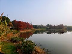 -尚贤河湿地
