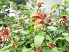 -江南大学附属医院(北院区)