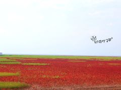 -红海滩国家风景廊道