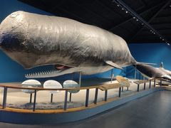 -青岛海底世界-水族馆