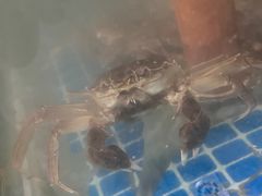 -乡乐园蟹庄·阳澄湖农家乐