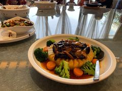 白玉珍艳素-悦湖公馆