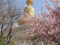 -兴隆文化园景区