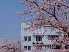 -永乐路-路侧停车场