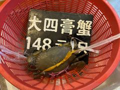 -莲花公园煎蟹(总店)