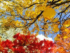 -叠溪松坪沟景区