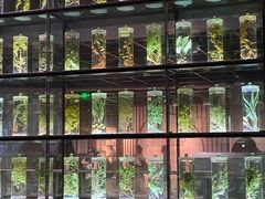 -广东中医药博物馆