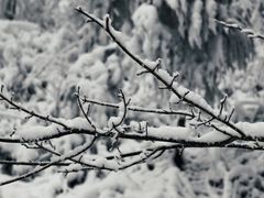 -太阳湾风景区