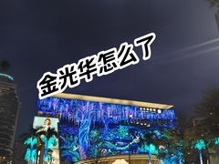 -金光华广场