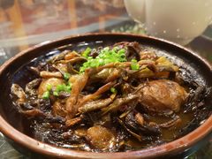 -食家鸽园
