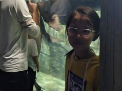 -临沂极地海洋王国