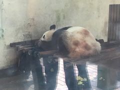 -茱萸湾风景区-售票处