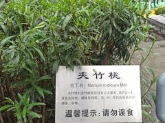 -莲湖公园