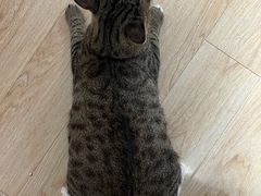 -古彭7只羊·鲜羊肉串·龙虾烧烤(玄武墨香路店)
