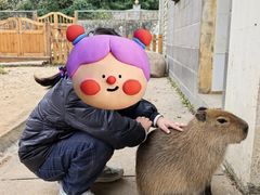-合肥野生动物园