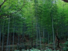 -黄公望隐居地