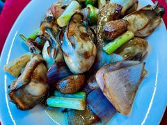 -濠轩阁特色生蚝火锅总店