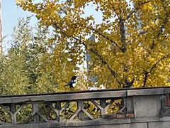 -京西五环检测场