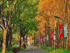 -上海财经大学(国定路校区)